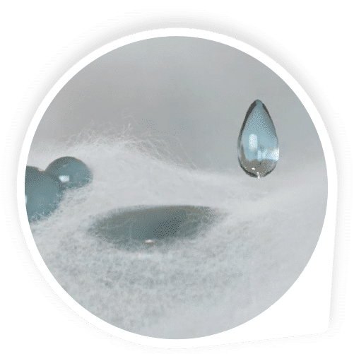 Dual Tissue-Wrapped Core